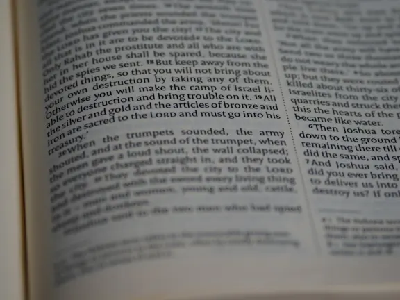 Hejgo Kasino Podpora